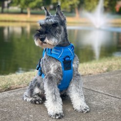 Doggie Design Venture Paw Pull Control Dog Harness, Mountain Lake, Medium: 14.5 to 26-in chest slide 2 of 6