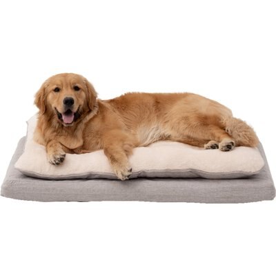 Territory Territory Orthopedic Pillow Top Dog Bed, Khaki, X-Large: 42 x 28-in