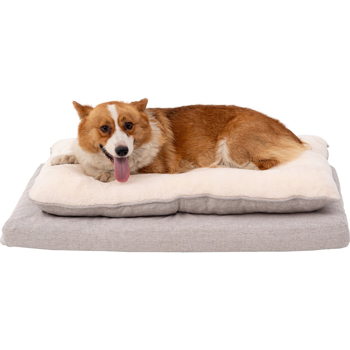 Territory Orthopedic Pillow Top Dog Bed, Khaki, Medium: 30 x 19-in