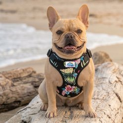 Doggie Design Wrap & Snap Choke Free Paradise Nights Dog Harness, Large: 20 to 26 inchers slide 2 of 6