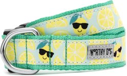 The Worthy Dog Lemons Adjustable Dog Collar, Mint Green, Large: 14 to 20-in neck, 1-in wide