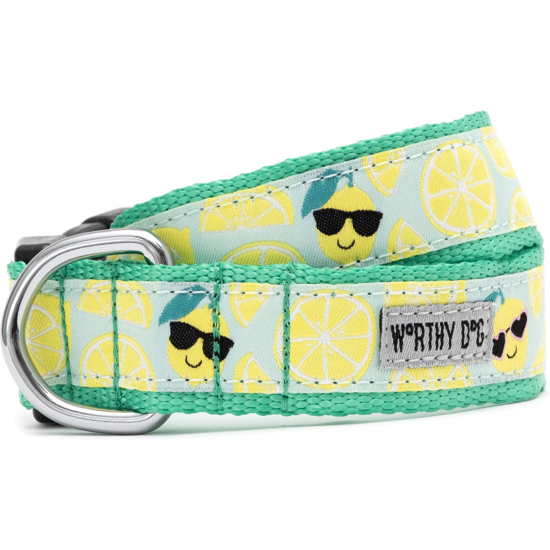 The Worthy Dog Lemons Adjustable Dog Collar, Mint Green, Small: 8 to 14-in neck, 5/8-in wide