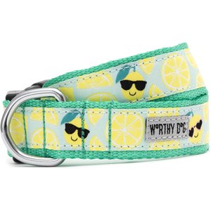The Worthy Dog Lemons Adjustable Dog Collar, Mint Green, X-Small: 5 to 11-in neck, 1/2-in wide