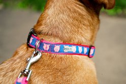 The Worthy Dog Wilbur Pig Adjustable Dog Collar, Navy, X-Large: 17 to 23-in neck, 1-in wide slide 2 of 9