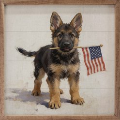 Kendrick Patriotic Pets German Shepherd Sign, 16 x 16-in