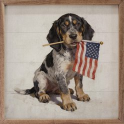 Kendrick Patriotic Pets Bluetick Coonhound Sign, 24 x 24-in