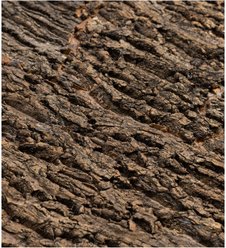New Age Pet Cork Mojave Horizontal Leopard Gecko Lounge Background, Brown, 2 count, 48-in slide 2 of 9