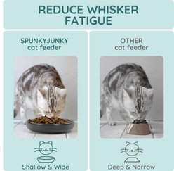 SpunkyJunky Modern Cute Weighted Food Water Ceramic Wide Small Dog & Cat Dish Set, 10.1-oz, 3 count, Black slide 2 of 6