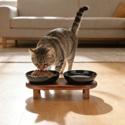 SpunkyJunky Extra Wide Elevated Cat Paw Pattern Ceramic Cat Bowl with Acacia Wood Stand Whisker Friendly, 8.45-oz, Black, 1 count slide 2 of 7