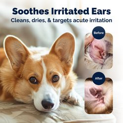 Vetnique Labs OticBliss Advanced Vet Strength Medicated Ear Infection Dog Ear Wipes, 50 count slide 2 of 9