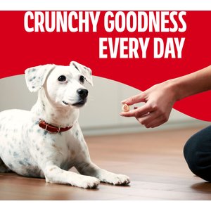 Milk-Bone MaroSnacks Real Bone Marrow Small Dog Treats, 40-oz tub