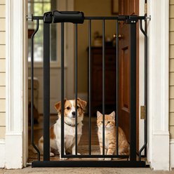 WAOWAO Extra Wide Pressure Mounted Adjustable Metal Pet Dog Gate, 24-29-in, Black slide 1 of 8