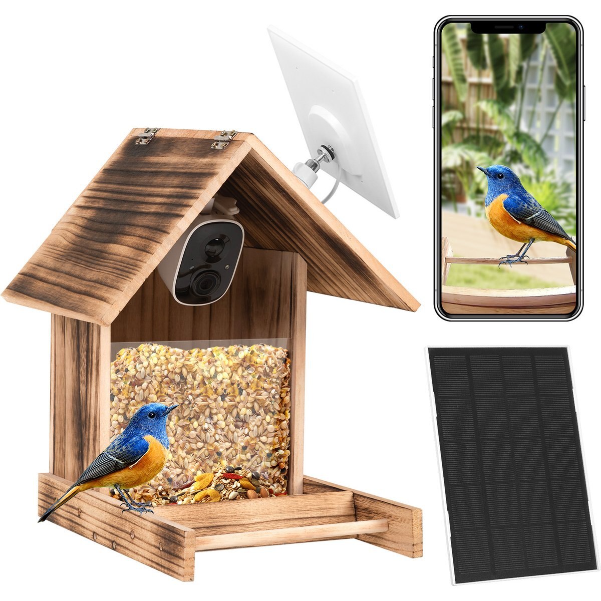 Coziwow Wild Bird Smart Feeder with Solar Powered Camera, Torched Wood, 2.5-L
