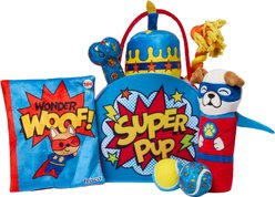 Frisco Celebration Bag for Super Pups Variety Pack Dog Toy, Medium/Large, 7 count