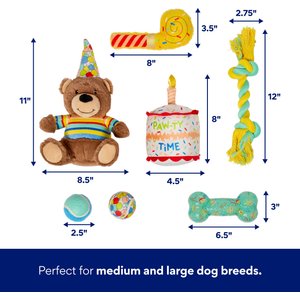 Frisco Celebration Bag Bear Variety Pack Dog Toy, Medium/Large, 7 count