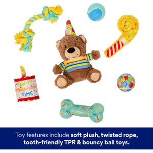 Frisco Celebration Bag Bear Variety Pack Dog Toy, X-Small/Small, 7 count