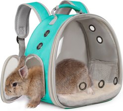 Halinfer Clear Bubble Hard Window Rabbit Carrier Backpack, 12.5-in, Green