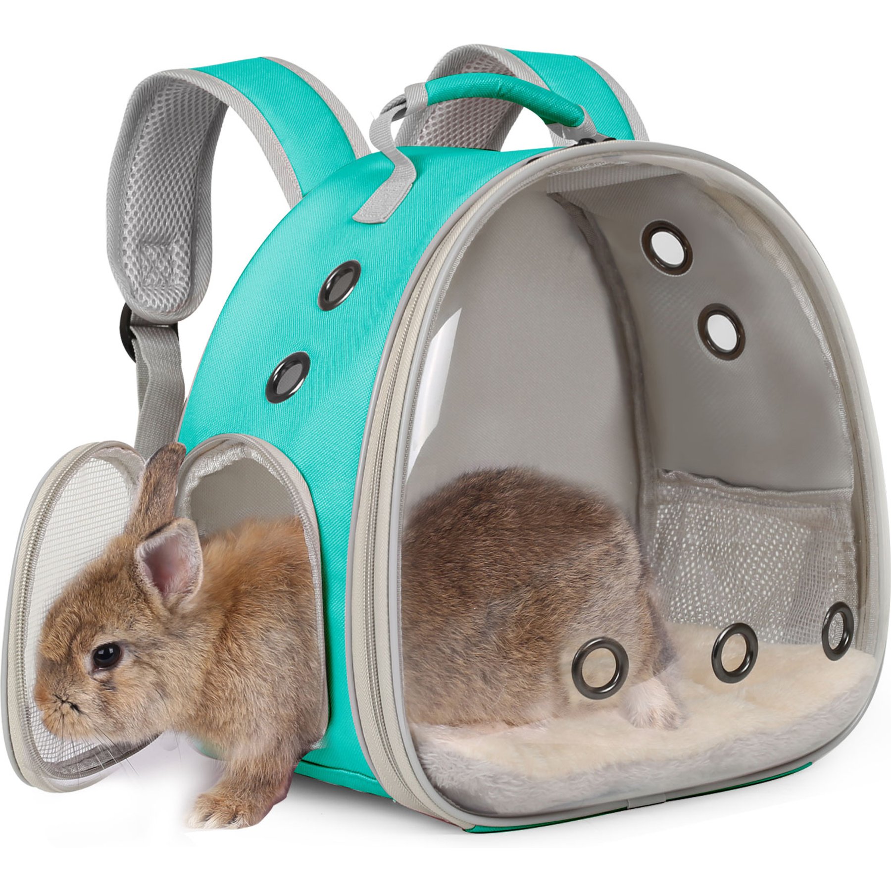 Halinfer Clear Bubble Hard Window Rabbit Carrier Backpack, 12.5-in, Green