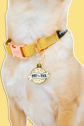 Sassy Woof Cheese Tax Collar Dog ID Tag slide 2 of 5