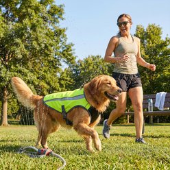 KONG Sport Kool Polyster Dog Safety Vest, Neon Yellow, Large slide 2 of 6