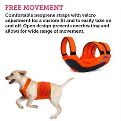 KONG Sport Trigger Polyster Dog Safety Vest, Blaze Orange, Large slide 2 of 7