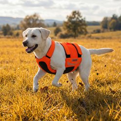 KONG Sport Trigger Polyster Dog Safety Vest, Blaze Orange, Medium slide 2 of 7