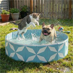 furrybaby Indoor & Outdoor Foldable Portable Kiddie Dog Pool, Medium, 39.3-in, Light Blue