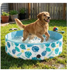 furrybaby Green Leaf Indoor & Outdoor Foldable Portable Kiddie Dog Pool, Large: 47.2-in