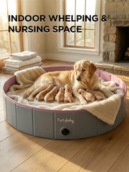 furrybaby Foldable Portable Dog Swimming Pool, X-Large, 63-in, Pink slide 2 of 9