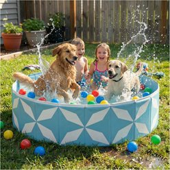 furrybaby Indoor & Outdoor Foldable Portable Kiddie Dog Pool, X-Large, 63-in, Light Blue slide 1 of 9