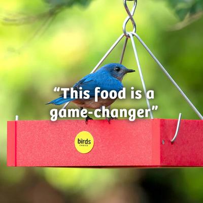 Show full view: Birds Choice Trailblazin Wild Bird Food, 10-lb slide 8 of 9