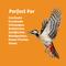 Show in main carousel: Birds Choice Trailblazin Wild Bird Food, 10-lb slide 9 of 9