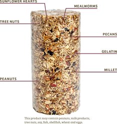 Birds Choice Bugs & Nuts Wild Bird Seed Cylinder, Small slide 2 of 9