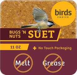 Birds Choice Bugs & Nuts No Melt Suet Wild Bird Food, 12 count