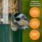 Show in main carousel: Birds Choice Trailblazin Wild Bird Food, 10-lb slide 4 of 9
