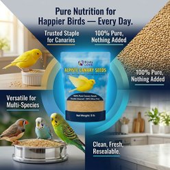 Birds LOVE Alpiste Canary Seed Non-GMO Double Cleaned Bird Food, 5-lb bag slide 2 of 9