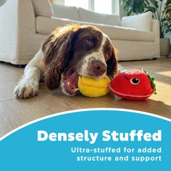 Outward Hound Lemon & Strawberry Xtreme Seamz Reinforced Seams & Multiple Stitching, Durable Plush Dog Toy with Squeaker, Multicolor, Small, 2 count slide 2 of 7