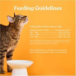 Made by Nacho Bone Broth Infused Cage-Free Chicken & Pumpkin Recipe Dry Cat Food, 2-lb bag slide 2 of 7