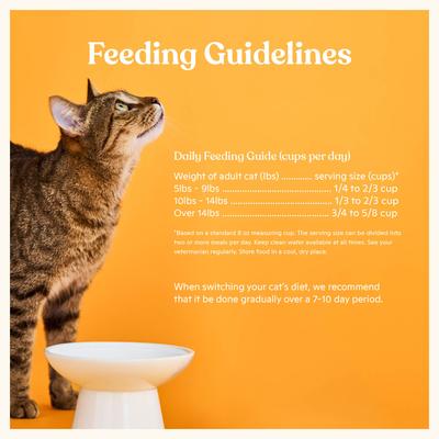 Show full view: Made by Nacho Bone Broth Infused Cage-Free Chicken & Pumpkin Recipe Dry Cat Food, 4-lb bag slide 7 of 9