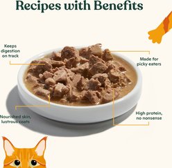 Made by Nacho Grass-Fed, Grain-Finished Beef Recipe Cuts In Gravy with Bone Broth Wet Cat Food, 3-oz pouch, case of 12 slide 2 of 7