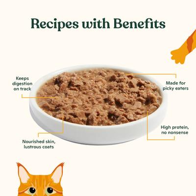 Show full view: Made by Nacho Cage-Free Turkey & Turkey Liver Recipe Minced Wet Cat Food, 5.5-oz can, case of 24 slide 4 of 9