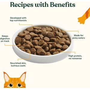 Made by Nacho Bone Broth Infused Cage-Free Chicken & Pumpkin Recipe Dry Cat Food, 4-lb bag