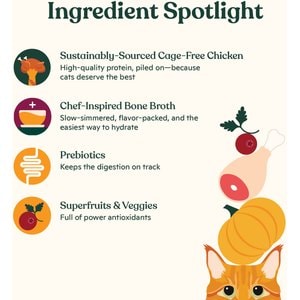 Made by Nacho Bone Broth Infused Cage-Free Chicken & Pumpkin Recipe Dry Cat Food, 4-lb bag