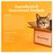 Show in main carousel: Made by Nacho Grass-Fed, Grain-Finished Beef Recipe Cuts In Gravy with Bone Broth Wet Cat Food, 3-oz pouch, case of 12 slide 6 of 10