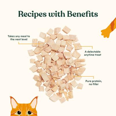 Show full view: Made by Nacho Freeze-Dried Chicken Breast Cat Treats, 0.9-oz pouch slide 4 of 9