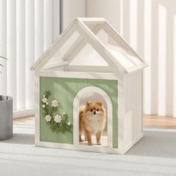 Yafylly Sage Clear Acrylic FSC Certified Wooden Cedar Indoor Cat House, Green