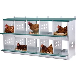 Yafylly 10-Bay Metal Chicken & Duck Nesting Box