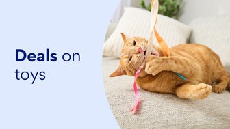 Deals on toys