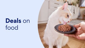 deals on food