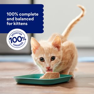 Chewy Made Kitten Pate Variety Pack Whitefish & Poultry Recipe Grain-Free Canned Cat Food (FORMERLY TINY TIGER), 3-oz can, case of 24